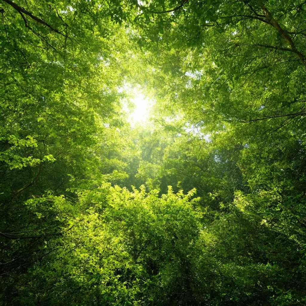 wallpaper-1740616221.webp