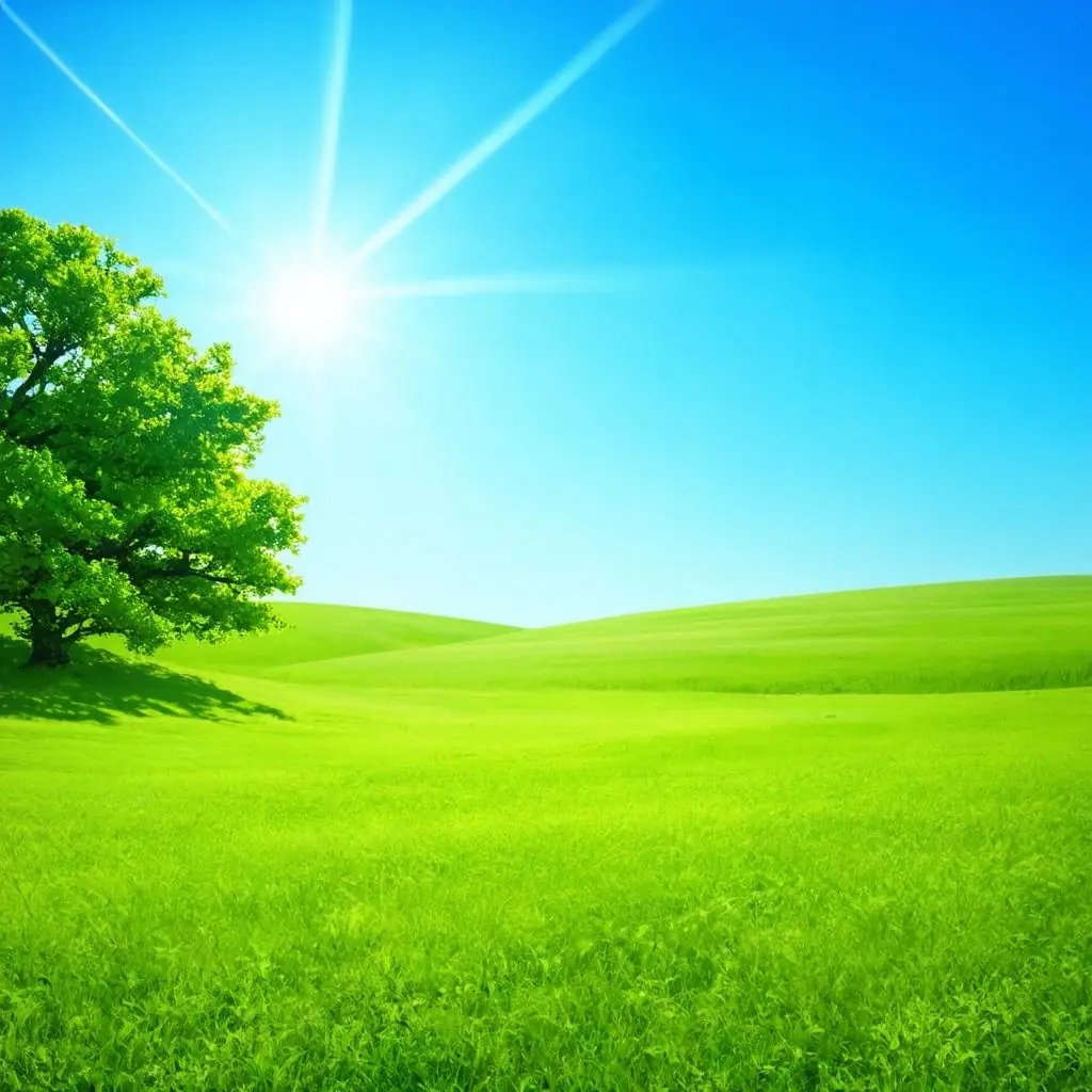 wallpaper-1746631585.webp
