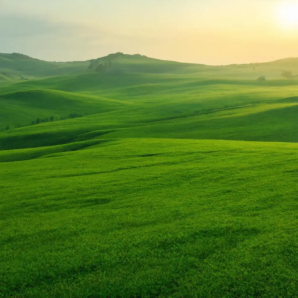 wallpaper-1746854964.webp