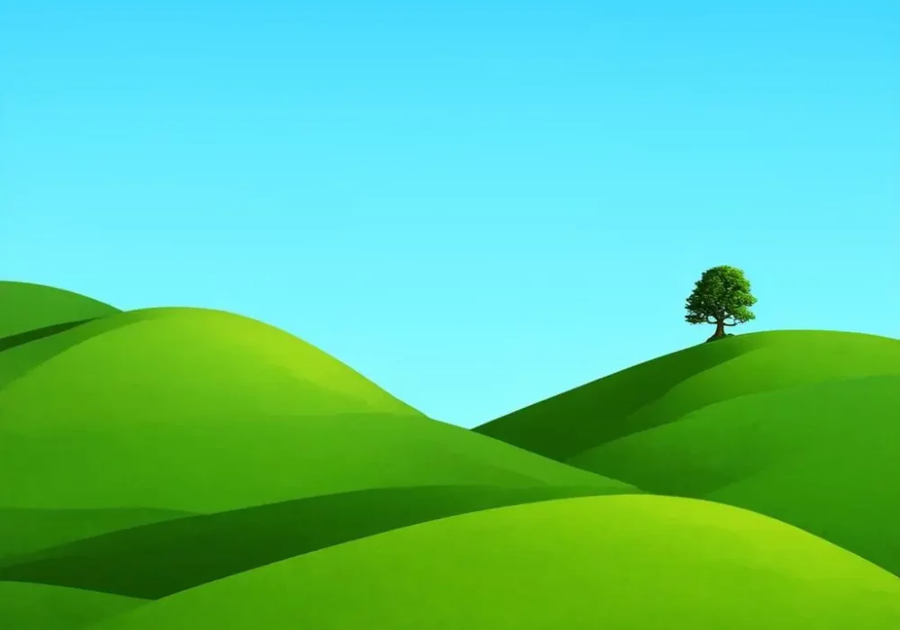 wallpaper-1729048310.webp