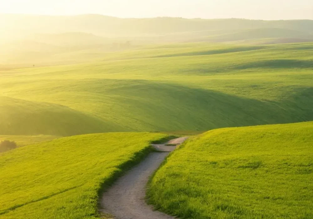 wallpaper-1729562854.webp
