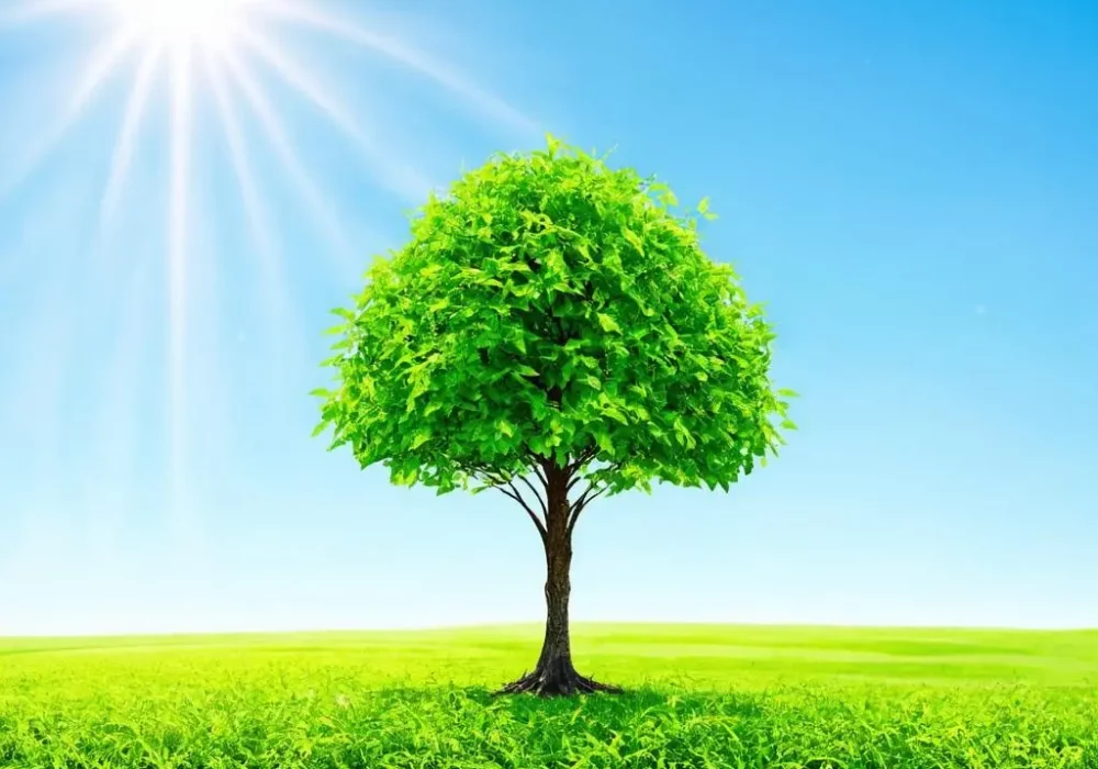 wallpaper-1730670494.webp