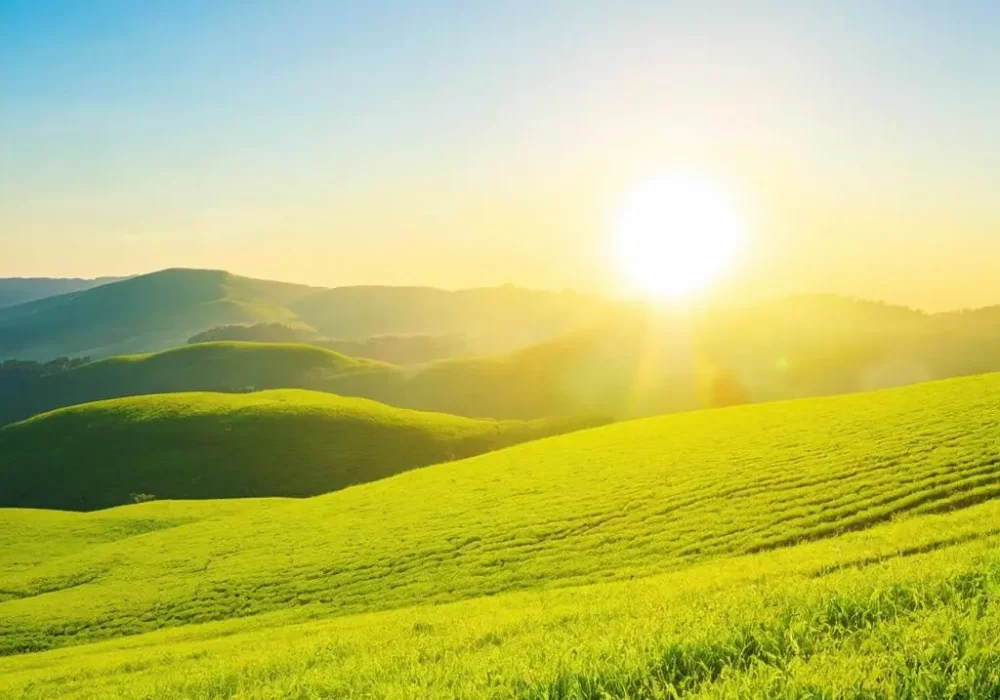 wallpaper-1730838134.webp