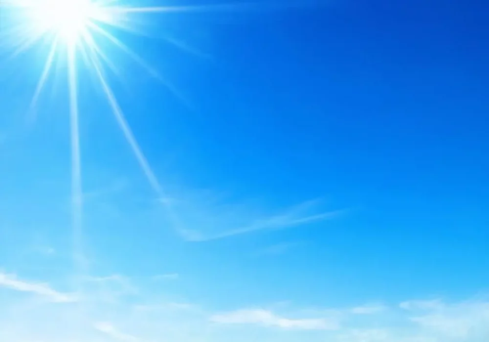 wallpaper-1730888474.webp
