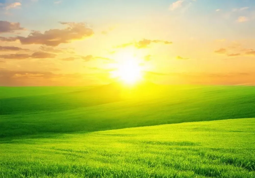 wallpaper-1731139934.webp