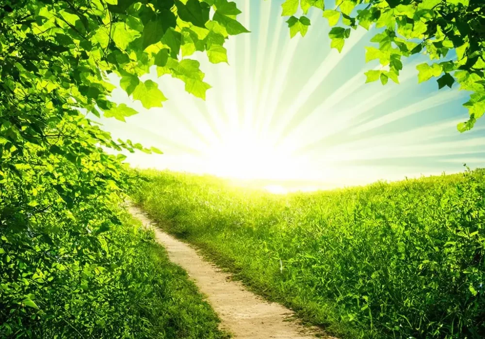 wallpaper-1731374475.webp