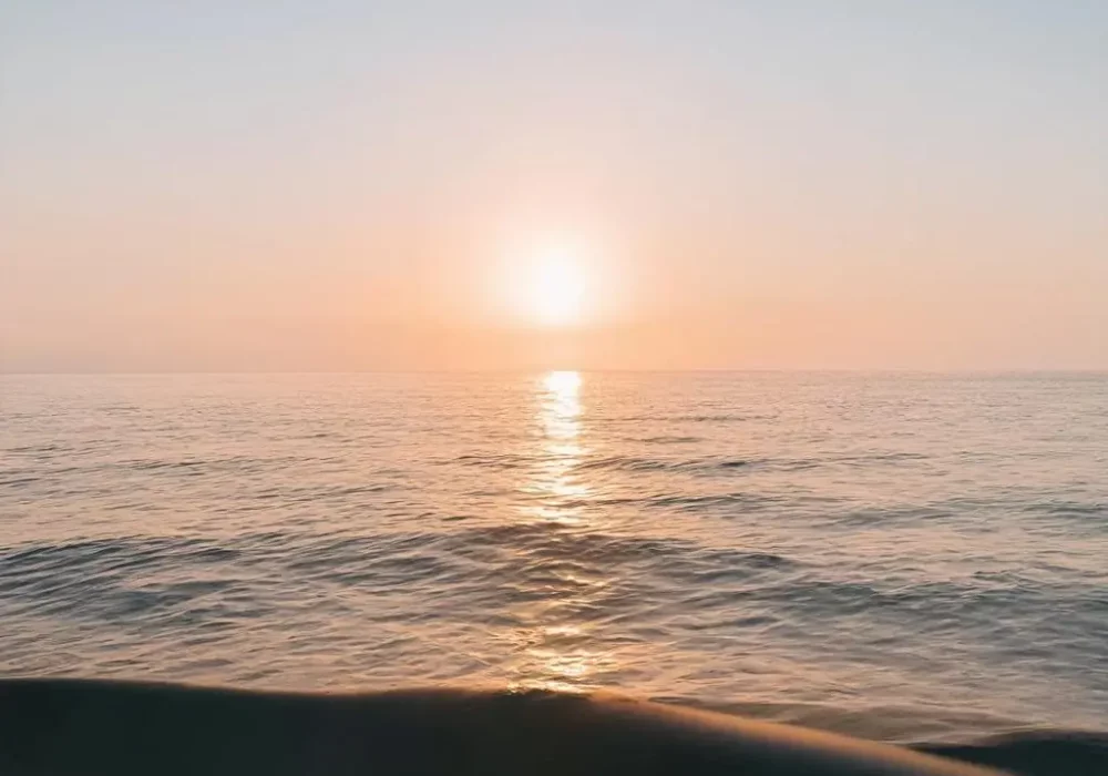 wallpaper-1731810074.webp