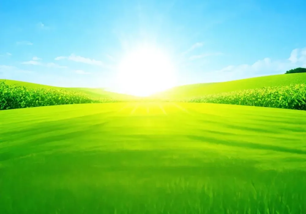 wallpaper-1731860294.webp