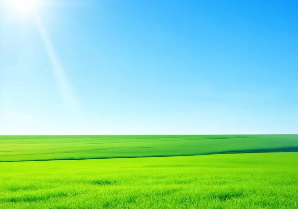 wallpaper-1733111776.webp