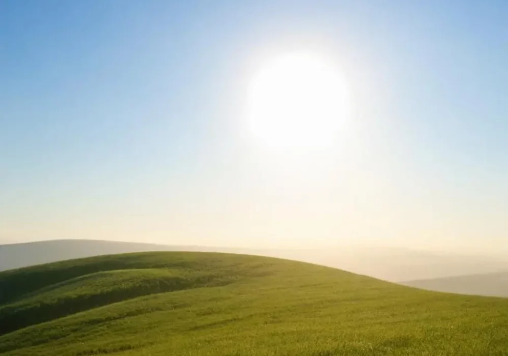 wallpaper-1733162066.webp