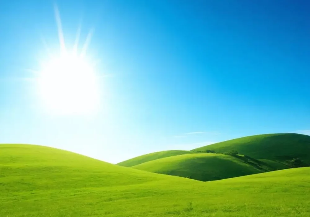 wallpaper-1733497336.webp