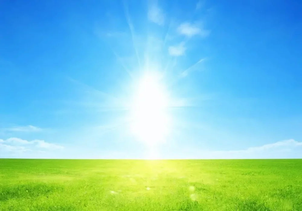 wallpaper-1734693497.webp