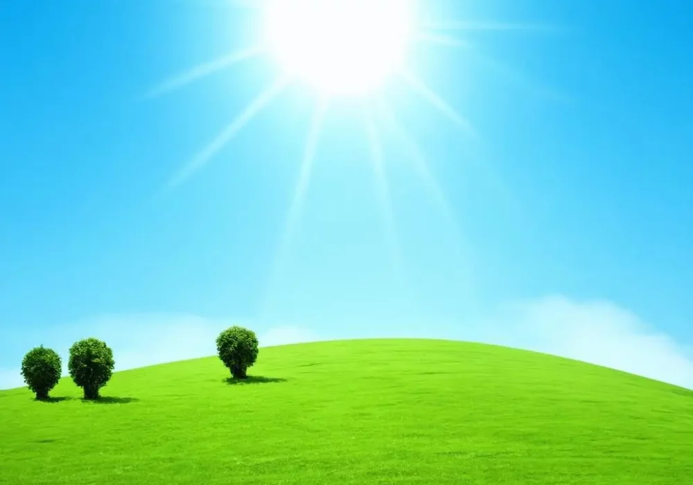 wallpaper-1735078997.webp
