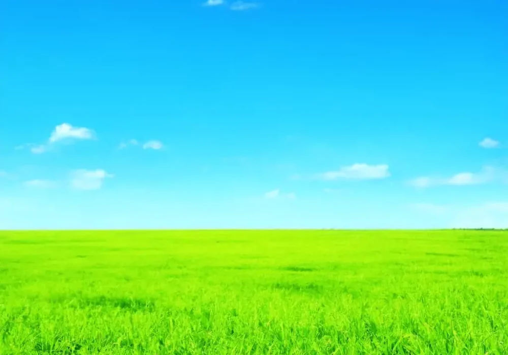 wallpaper-1737569544.webp