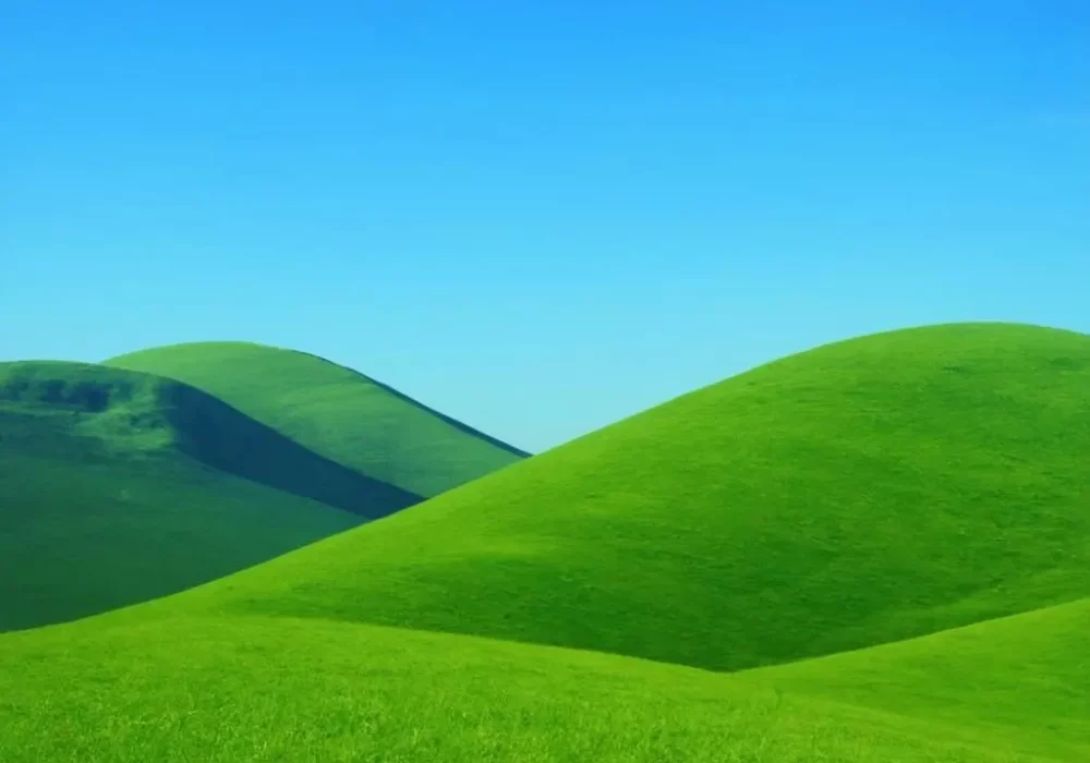 wallpaper-1739052465.webp