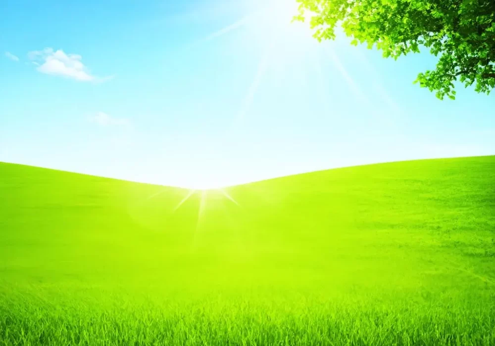 wallpaper-1739655680.webp