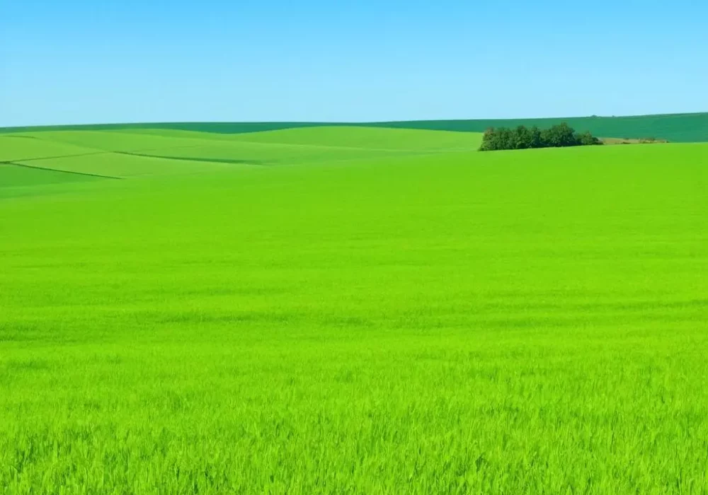 wallpaper-1739806460.webp
