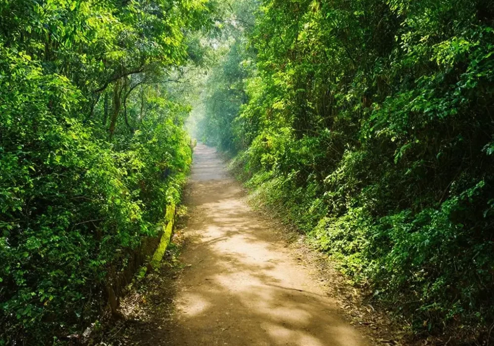 wallpaper-1740565281.webp