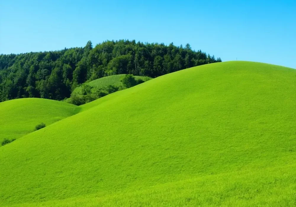 wallpaper-1742087602.webp