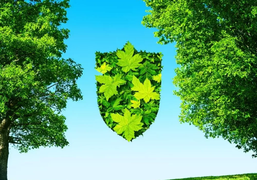 wallpaper-1742373082.webp