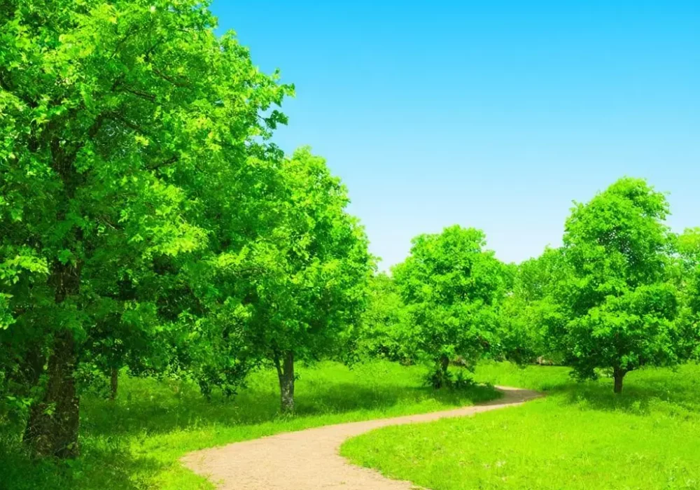 wallpaper-1742924724.webp