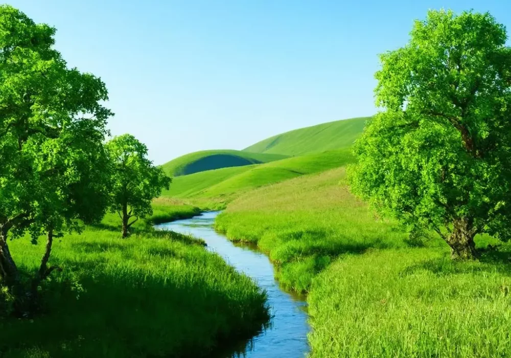 wallpaper-1744889469.webp