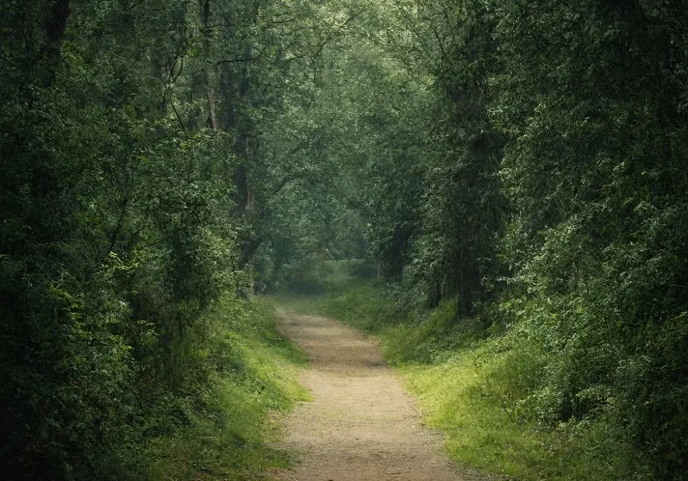 wallpaper-1744900503.webp