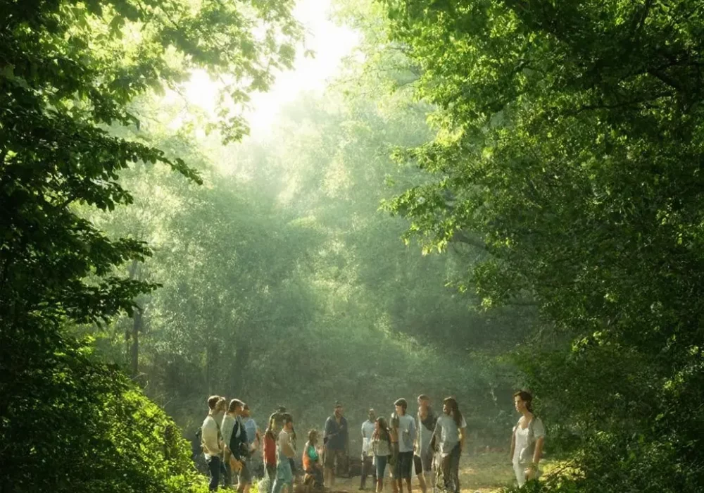 wallpaper-1744902324.webp