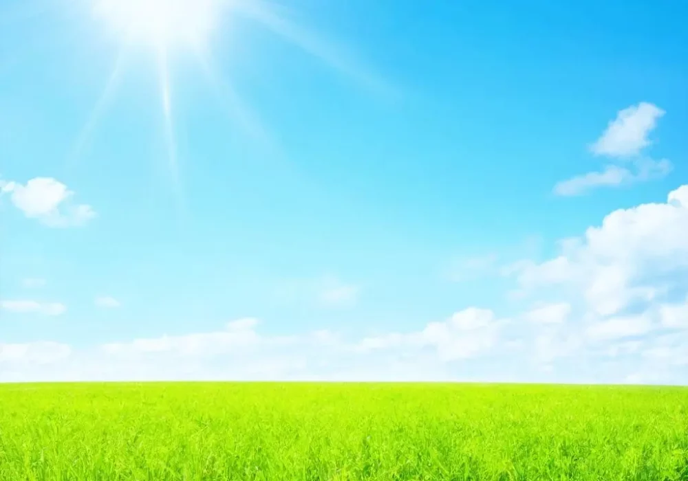 wallpaper-1744904045.webp