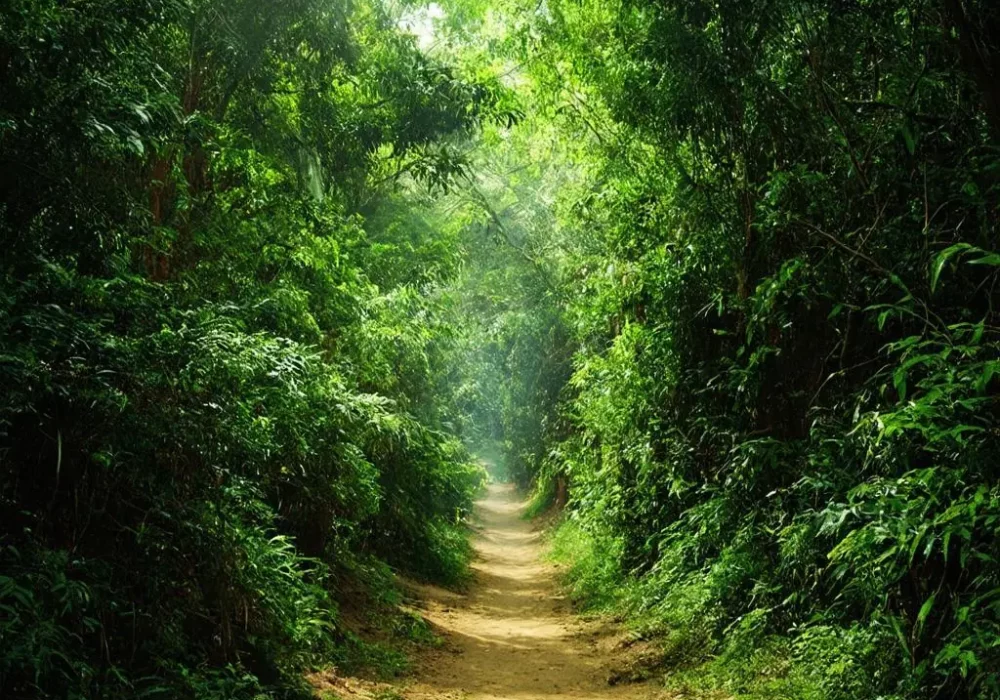 wallpaper-1745503047.webp