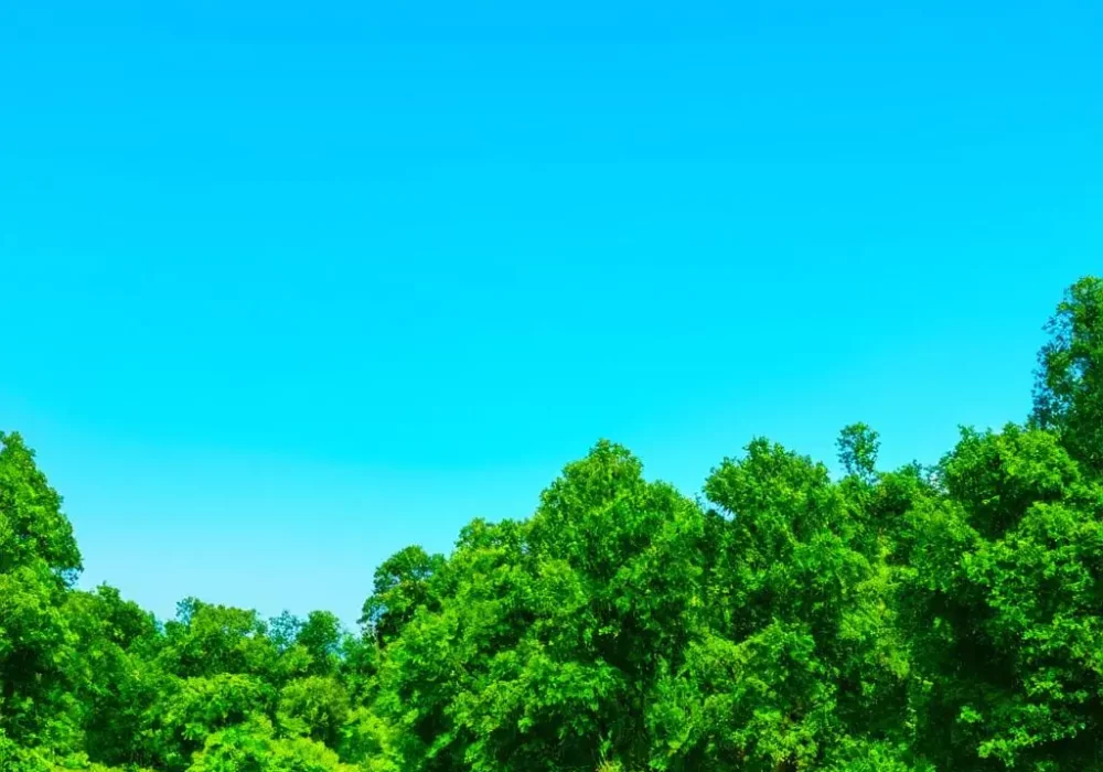 wallpaper-1745587107.webp