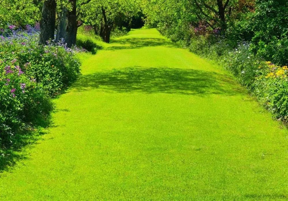 wallpaper-1745781684.webp