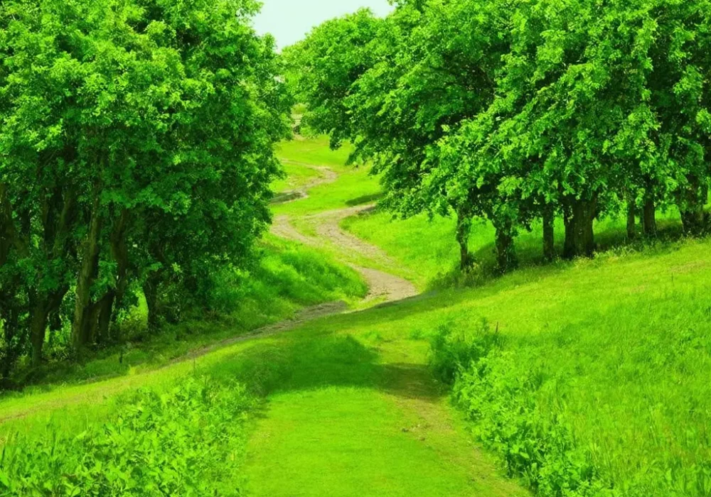 wallpaper-1746223704.webp