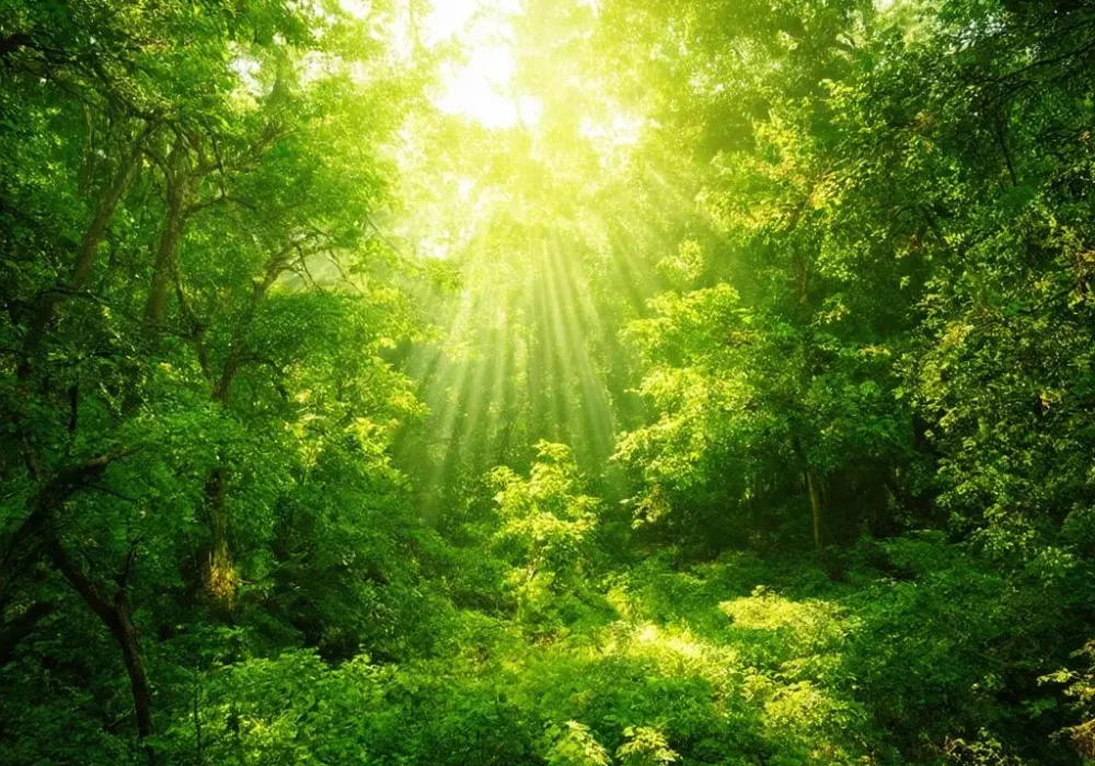 wallpaper-1746290845.webp