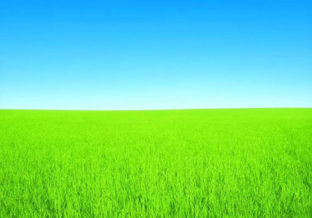 wallpaper-1746564504.webp