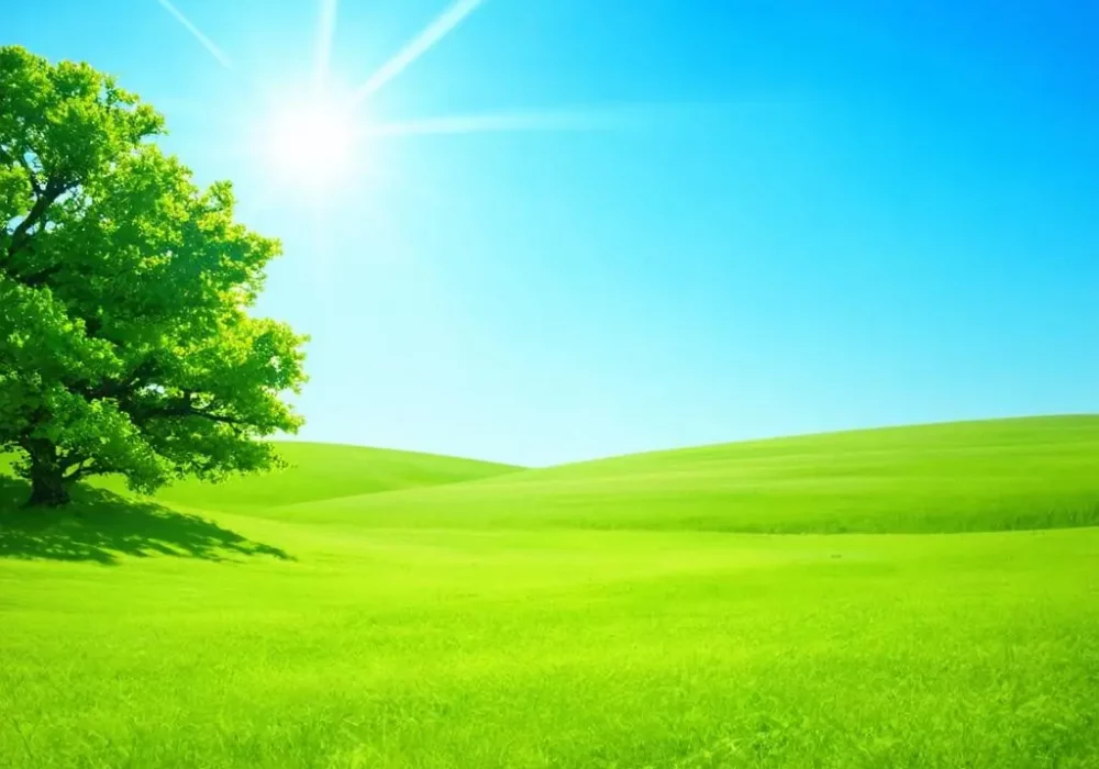 wallpaper-1746631585.webp