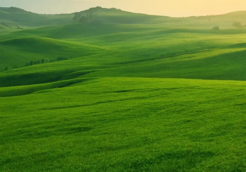 wallpaper-1746854964.webp