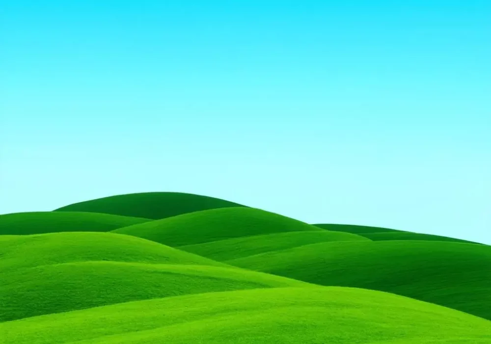 wallpaper-1747022665.webp