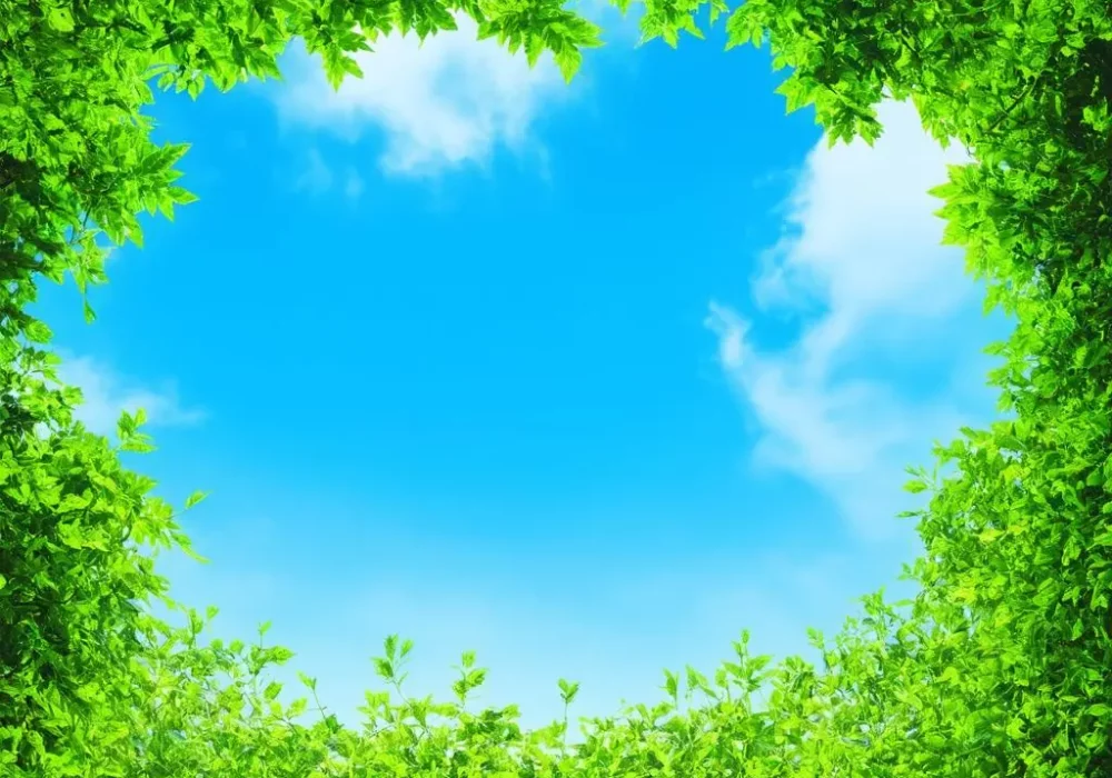 wallpaper-1747246225.webp
