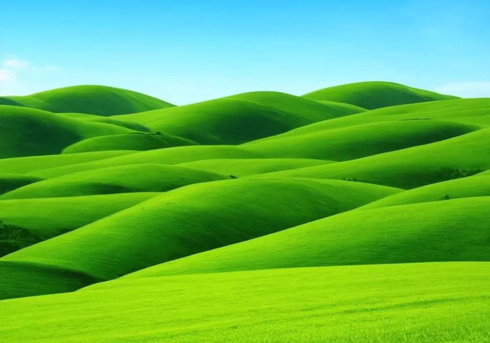 wallpaper-1747296744.webp