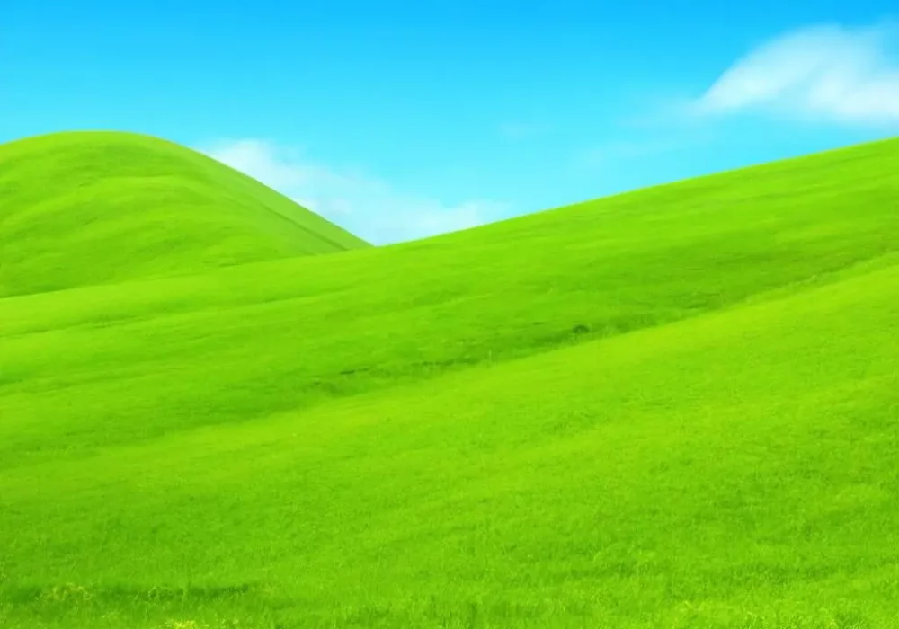 wallpaper-1747464984.webp