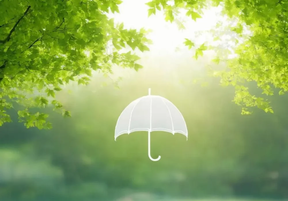 wallpaper-1752470380.webp